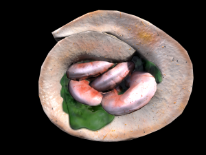 SeaBassPrawns 3D Model