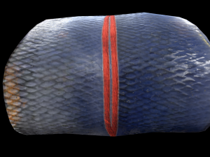 SeaBassPrawns 3D Model