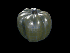 Кабачок Жолудь 3D Модель