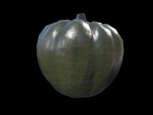 Squash Acorn 3D Model