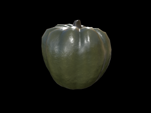 Squash Acorn 3D Model
