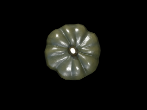 Squash Acorn 3D Model