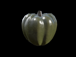 Squash Acorn 3D Model