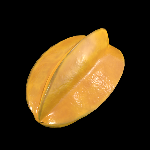 StarFruit 3D 模型 .c4d .max .obj .3ds .fbx .stl .blend 