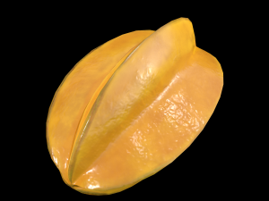 StarFruit 3Dモデル