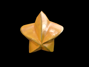 StarFruit 3D 模型