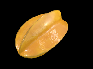 StarFruit 3D 模型