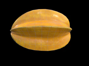 StarFruit 3D Model