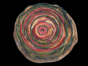 VeggieRoll 3D Модель