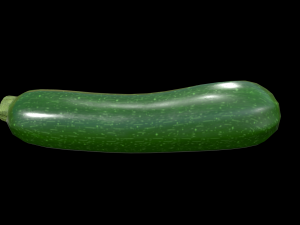 Zucchini Model 3D