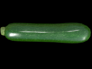 Zucchini Model 3D
