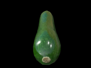 Zucchini Model 3D
