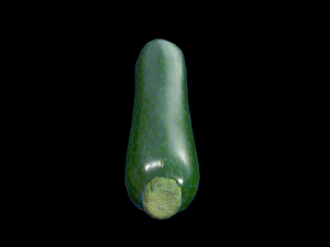 Zucchini Model 3D
