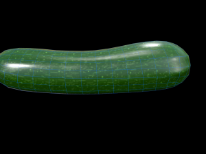 Zucchini Model 3D