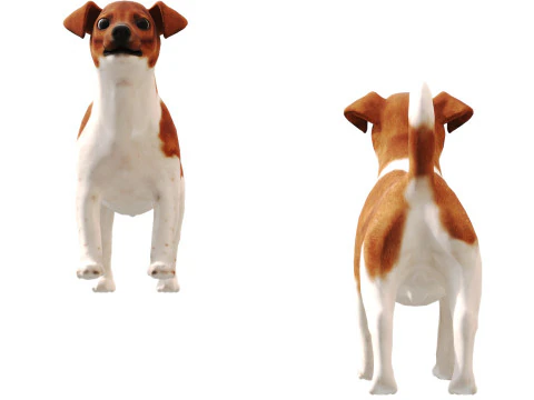 ジャックラッセル 3Dモデル