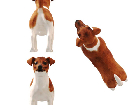 ジャックラッセル 3Dモデル