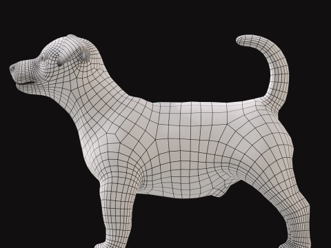 Jack Rassel 3D मॉडल