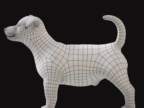 ジャックラッセル 3Dモデル