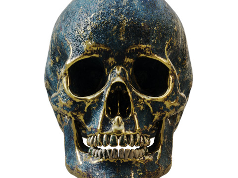 A stylized human skull 3D Model
