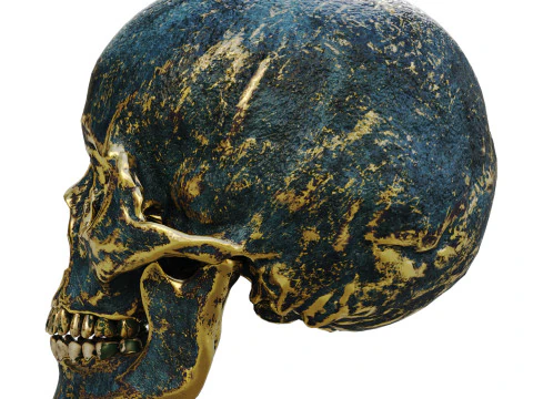 A stylized human skull 3D Model