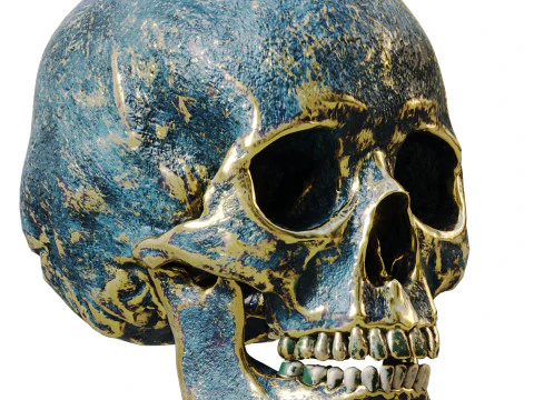 A stylized human skull 3D Model