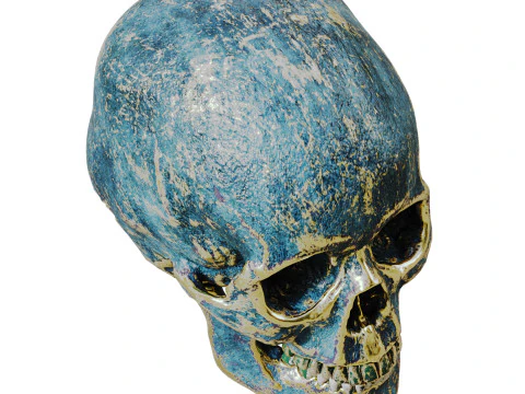A stylized human skull 3D Model