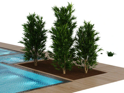 Kolam Renang 8 Model 3D