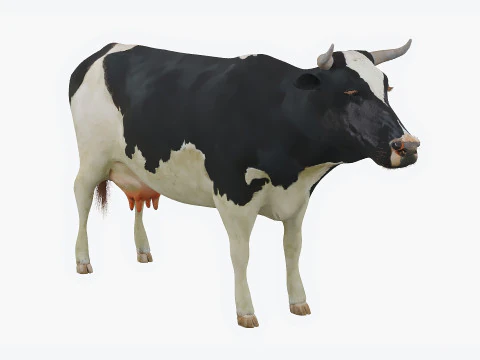 Gefleckte Kuh 3D Modell