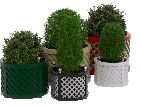 Decorative potted plants Model 3D