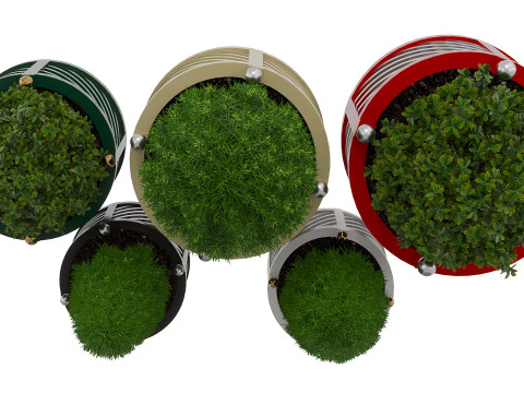 Decorative potted plants Model 3D