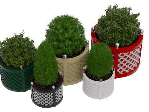 Decorative potted plants Model 3D