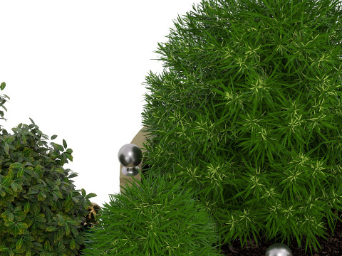 Decorative potted plants Model 3D