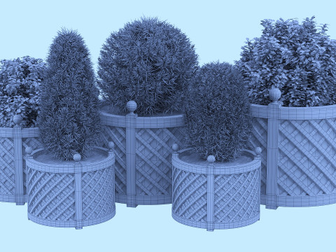 Decorative potted plants Model 3D