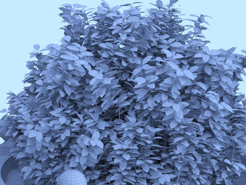 Decorative potted plants Model 3D