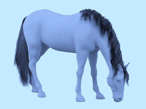 A horse in the pasture 3D Model
