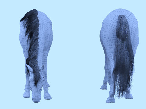 A horse in the pasture 3D Model