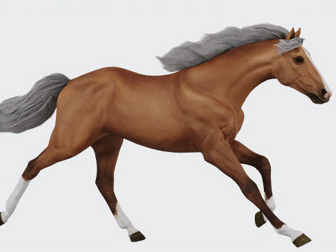 Біжить кінь 3D Модель