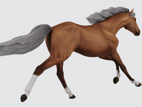 Running horse Model 3D