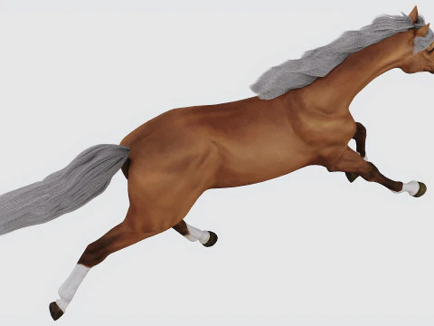 Бегущая лошадь 3D Модель