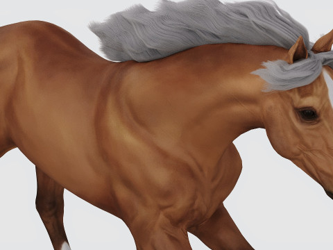 Running horse Model 3D
