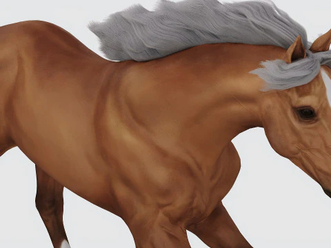 Бегущая лошадь 3D Модель