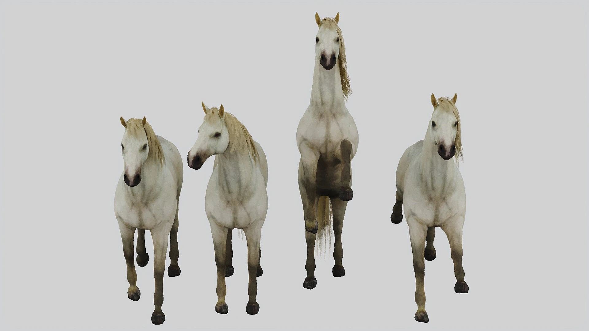 Horse set in 4 Poses 3D Model .c4d .max .obj .3ds .fbx .stl .blend