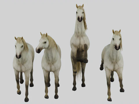 4 つのポーズの馬セット 3Dモデル