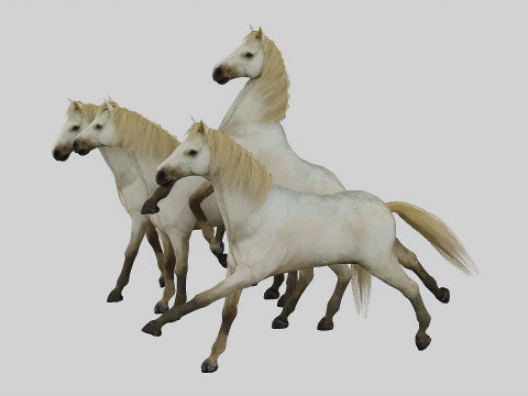 Horse set in 4 Poses 3D Model