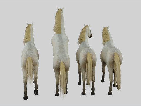 Horse set in 4 Poses 3D Model