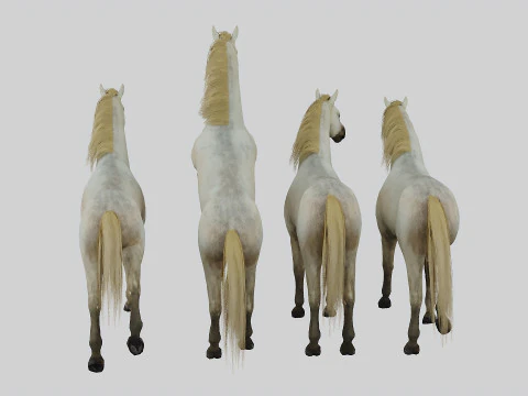 Horse set in 4 Poses 3D Model