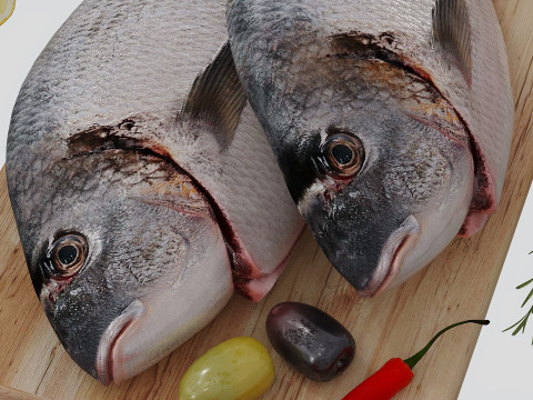 Fresh fish corona Modelo 3D