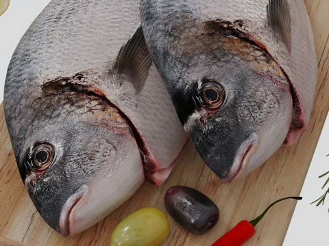 Fresh fish corona 3D Model