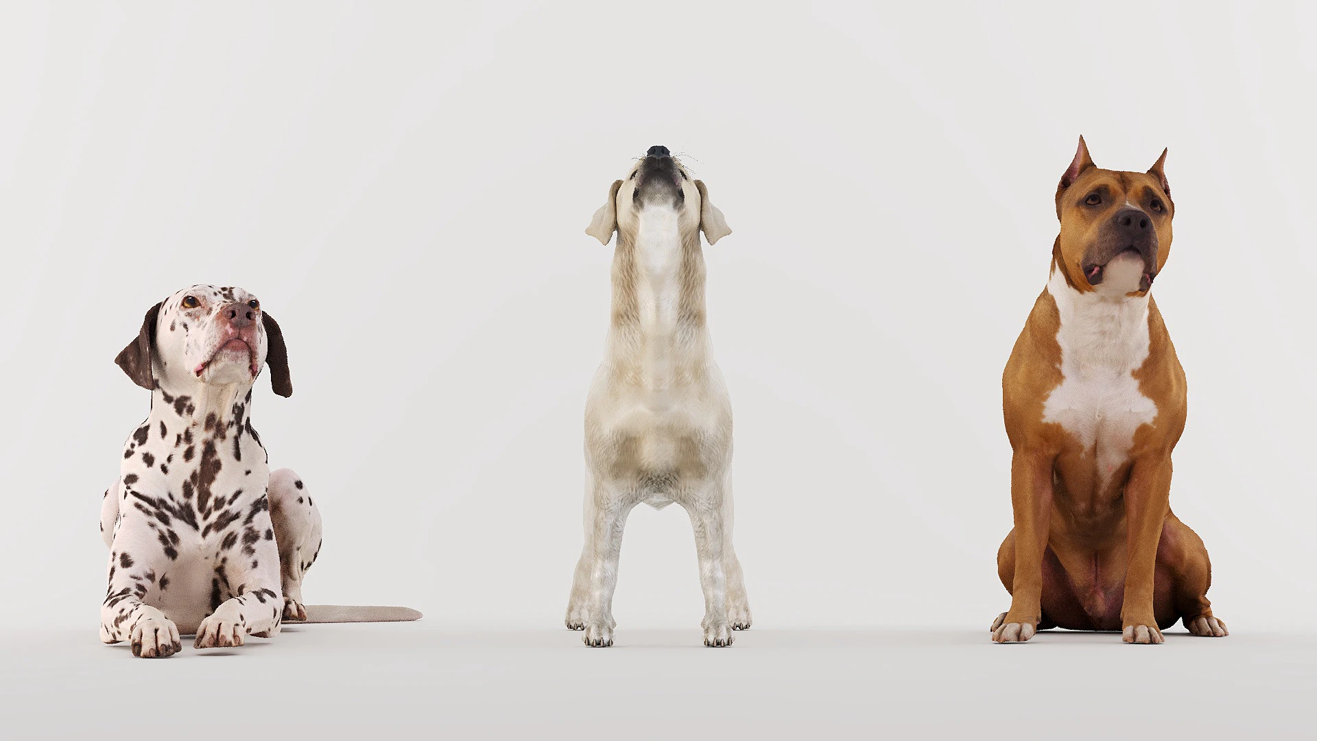 Big Dog Set x3 3D Model .c4d .max .obj .3ds .fbx .stl .blend 