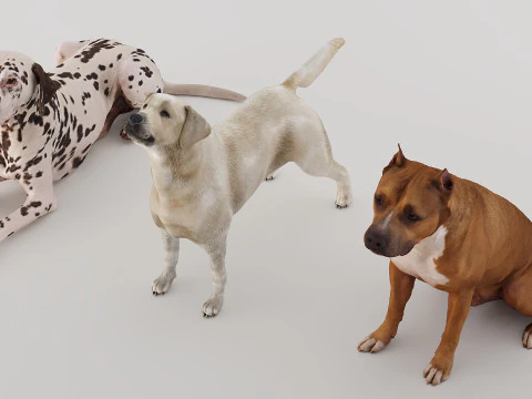 Big Dog Set x3 3D Model